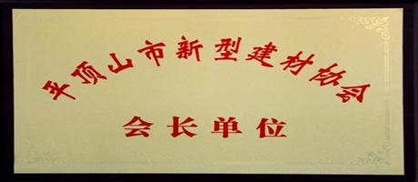 天博在线（中国）分公司公司被授予“平顶山市新型建材协会会长单位”